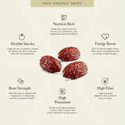 Medjool Dates